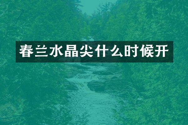 春兰水晶尖什么时候开