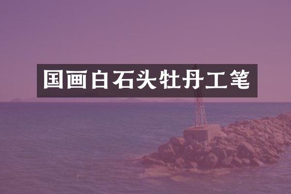 国画白石头牡丹工笔