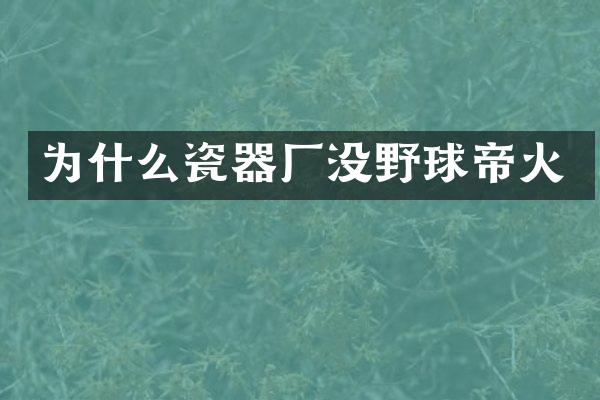 为什么瓷器厂没野球帝火