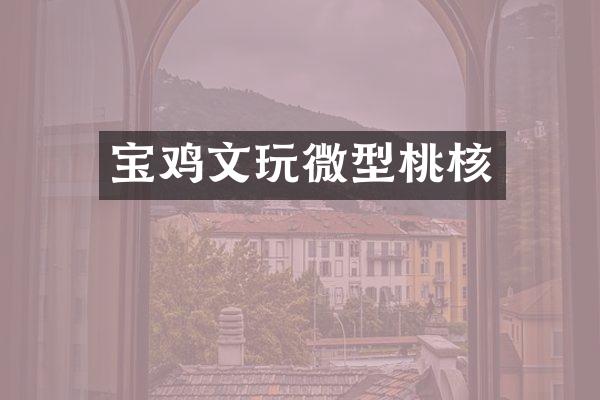 宝鸡文玩微型桃核