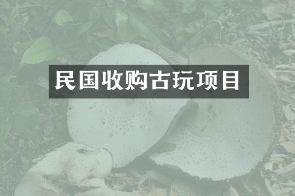 民国收购古玩项目