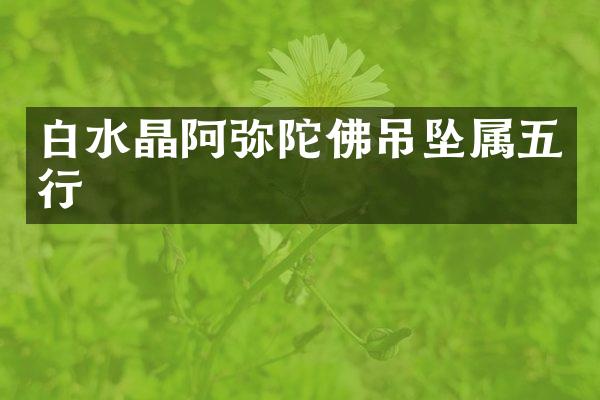 白水晶阿弥陀佛吊坠属五行