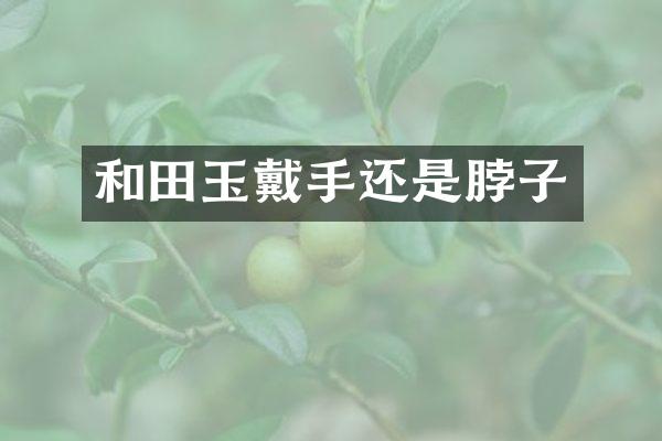 和田玉戴手还是脖子