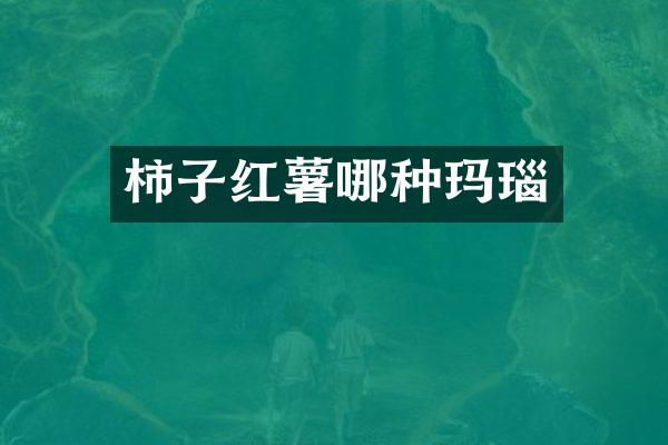 柿子红薯哪种玛瑙