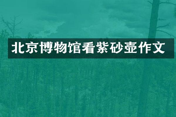 北京博物馆看紫砂壶作文