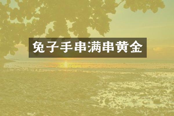 兔子手串满串黄金