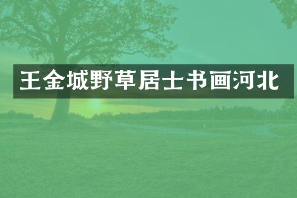 王金城野草居士书画河北