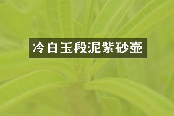 冷白玉段泥紫砂壶