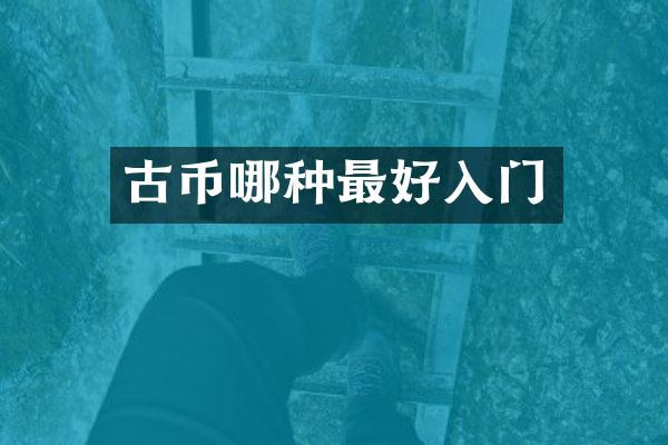 古币哪种最好入门