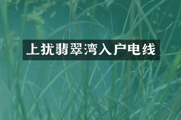 上犹翡翠湾入户电线