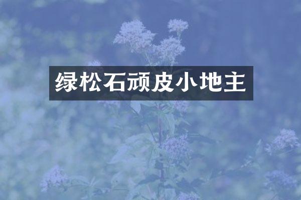 绿松石顽皮小地主