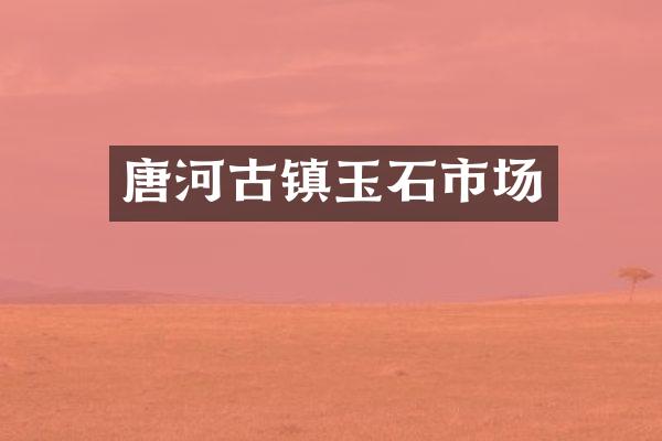 唐河古镇玉石市场