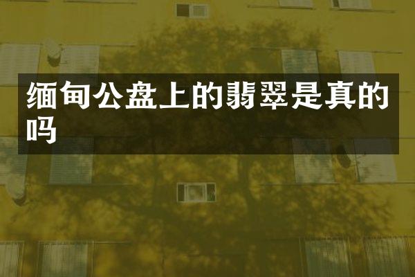 缅甸公盘上的翡翠是真的吗