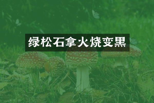 绿松石拿火烧变黑