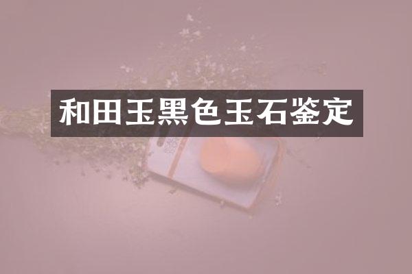 和田玉黑色玉石鉴定