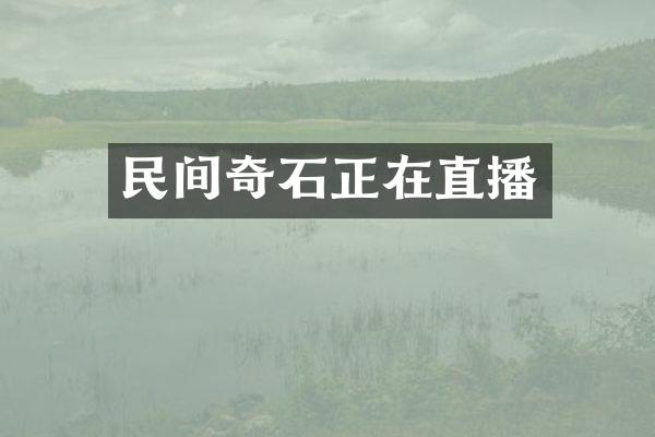民间奇石正在直播