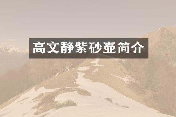 高文静紫砂壶简介
