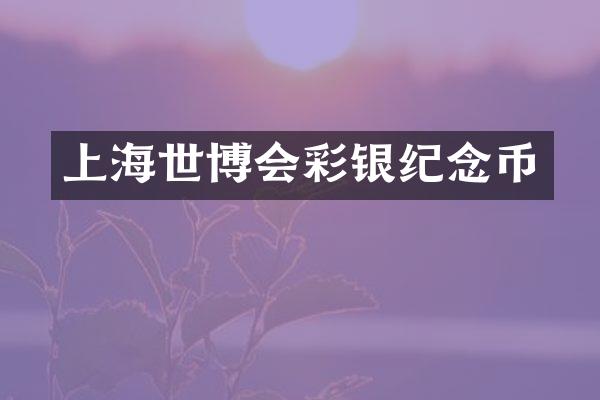上海世博会彩银纪念币