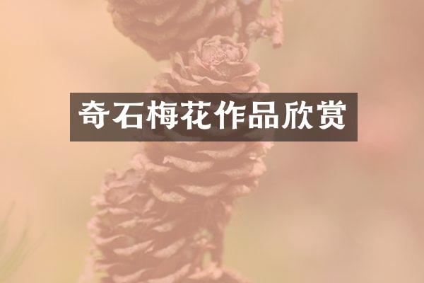 奇石梅花作品欣赏