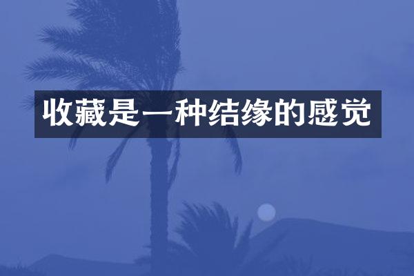 收藏是一种结缘的感觉