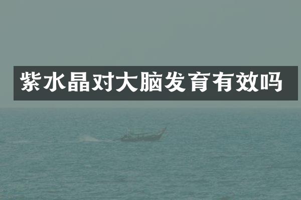 紫水晶对大脑发育有效吗