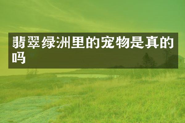 翡翠绿洲里的宠物是真的吗