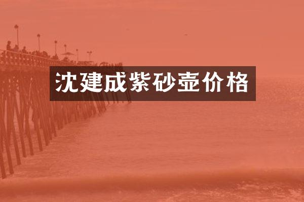 沈建成紫砂壶价格