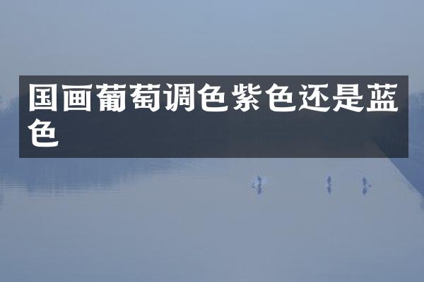 国画葡萄调色紫色还是蓝色