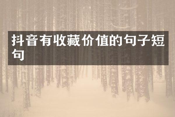 抖音有收藏价值的句子短句