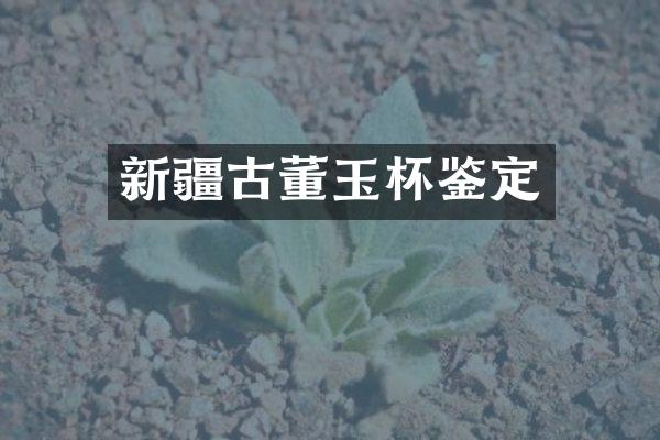 新疆古董玉杯鉴定