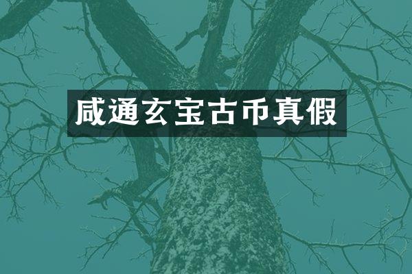 咸通玄宝古币真假