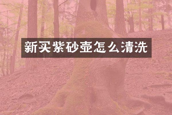 新买紫砂壶怎么清洗