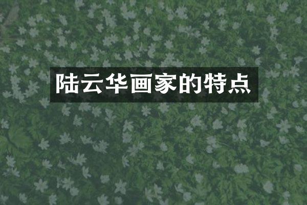 陆云华画家的特点