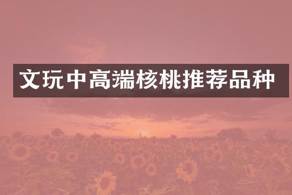 文高端核桃推荐品种