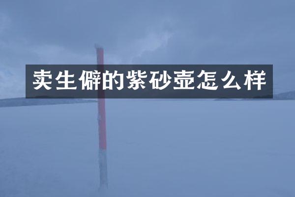卖生僻的紫砂壶怎么样