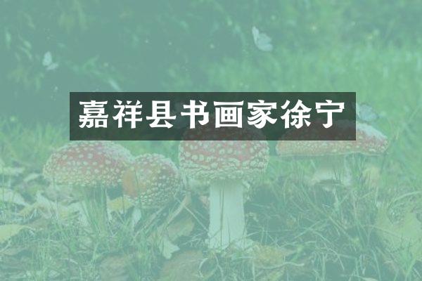 嘉祥县书画家徐宁