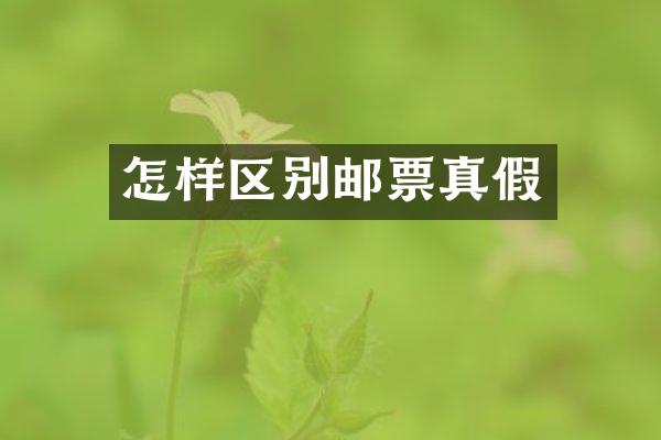 怎样区别邮票真假