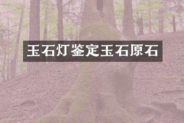 玉石灯鉴定玉石原石