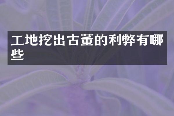 工地挖出古董的利弊有哪些