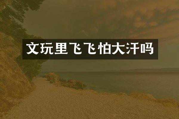 文玩里飞飞怕大汗吗