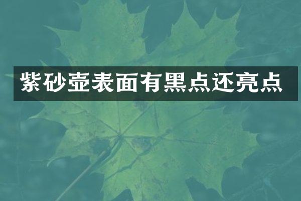 紫砂壶表面有黑点还亮点