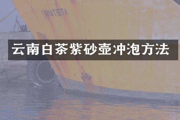 云南白茶紫砂壶冲泡方法