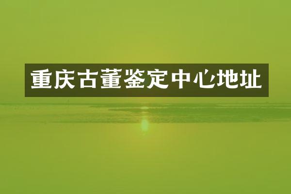 重庆古董鉴定中心地址