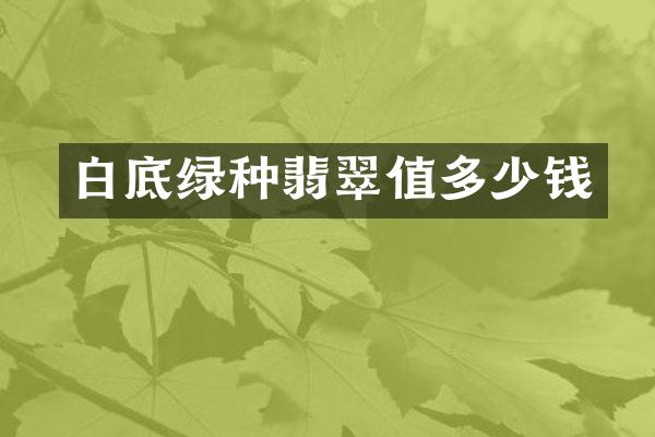 白底绿种翡翠值多少钱