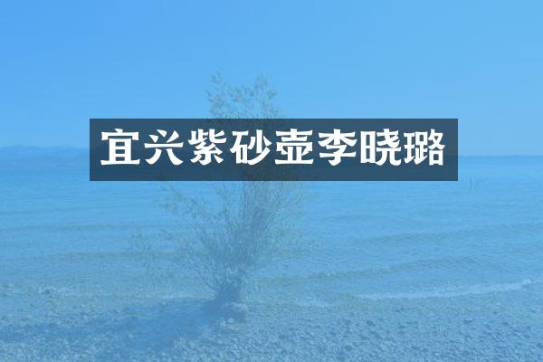 宜兴紫砂壶李晓璐