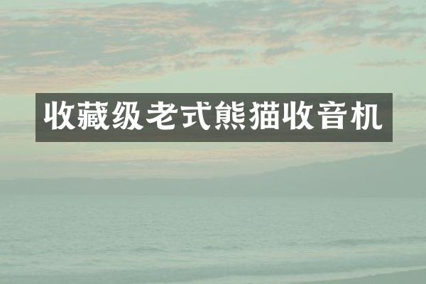 收藏级老式熊猫收音机