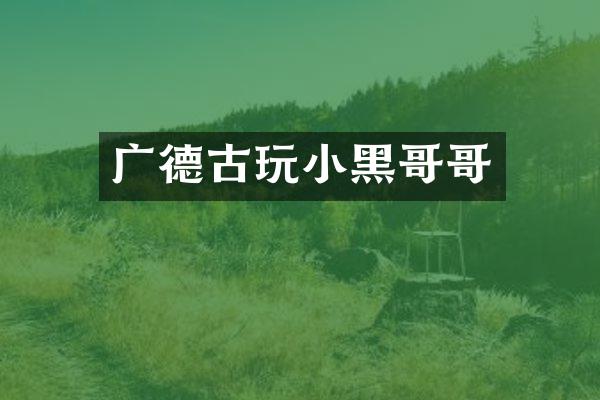 广德古玩小黑哥哥
