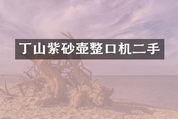 丁山紫砂壶整口机二手