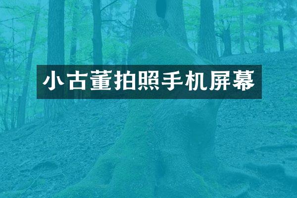 小古董拍照手机屏幕