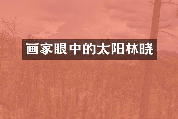 画家眼中的太阳林晓